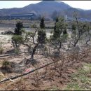 대전리농장 이미지