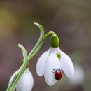 달맞이 티업 스크린골프 이미지