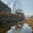 대구식당 | [대구/가창]우록장식당 오리불고기 대구계곡식당 후기