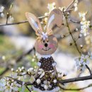 머리향기 이미지