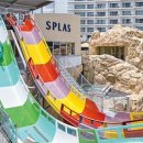 스플라스리솜 이미지