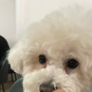 히죽