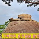 일출물산 이미지
