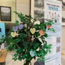 원주시정신건강복지센터 이미지