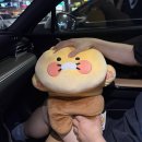 배못경로당 | [일상] 2026년의 1/2 완료, 하반기는 행복만 하자