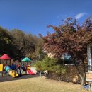 키즈스테이 이미지