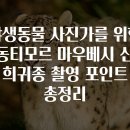 고산우림아파트진입로 | 야생동물 사진가를 위한 동티모르 마우베시 산 희귀종 촬영 포인트 총정리