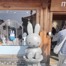 경주 여행 필수코스 미피스토어 석굴암미피 찰보리미피빵 내돈내산 상세 후기