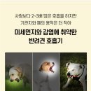 조이메디 이미지