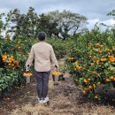 경미농장 이미지