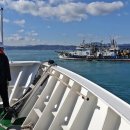 동해-단속-20 이미지