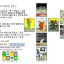 타로 실전리딩반 이미지