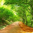계룡산임도삼거리(입구) 이미지