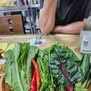 김치찌개집 | 🍲 서울 3대 김치찌개집 ‘은주정’ 후기