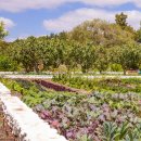 청용농장 이미지