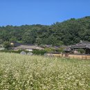 괴시리 전통마을 이미지