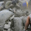 머드로 2 이미지