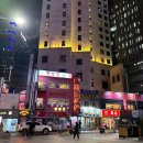 명동미디어 | 2025 명동 신세계 미디어 파사드 후기 (촬영명당·위치·꿀팁👍👍)