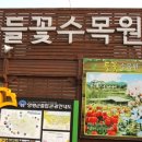 들꽃수목원 이미지