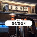 대청정육점 | ​[용산 용산봉숭아] 신용산 핫플 내돈내산 후기ෆ 광주식 오리감자탕부터 알쭈꾸미까지 안주 털고 옴