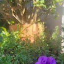 희망모아협동조합 이미지