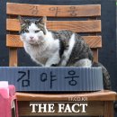 복덩이복권 이미지