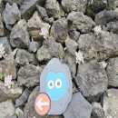 꽃담정원 이미지