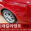 미래덴트칼라 이미지
