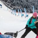 엘리시안강촌눈썰매장 네이버블로그
