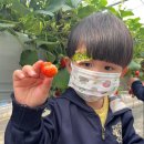 우리어린이집 이미지