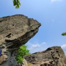 상관 공기마을 편백숲 이미지