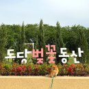 여월동공영주차장 이미지