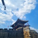 도매당약국 이미지