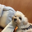 카페 바리스랩