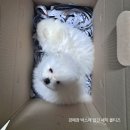 유성동양경매장 이미지