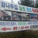 감나무집 농원펜션 이미지