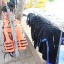 스킨바나나 이미지