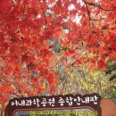 엠코굿모닝공인중개사사무소 이미지