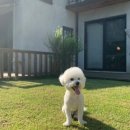 다소니 펜션 이미지