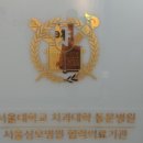 서울하이엔드치과의원 네이버블로그
