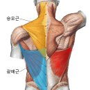 우리동네GYM 재송1동점 이미지