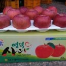 해피그린농장 이미지