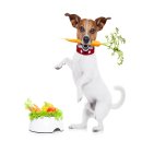 25시동물의료센터 이미지