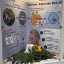 비비큐 치킨 문학점 | [2025] 여름의 한가운데로 들어선 7월