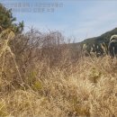 팔산리마을회관 네이버블로그