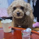 정산농장 | 10월 정산