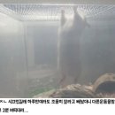 헬스중독 Daum카페