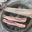 산내들@ | 광양 평상대여 수영장물놀이까지 가능한 산내들황토방 내돈내산 후기!