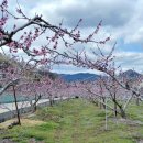 발화동길 이미지