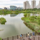 운정호수 수변카페 인근 | 운정호수공원, 여름 하늘 아래 반영된 도시와 호수의 조화로운 풍경
